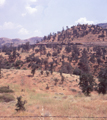 Atchison, Topeka & Santa Fe / Tehachapi Pass, California (6/17/1982)