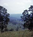 Whittaker Hill / Cass Scenic Railroad (8/22/1972)