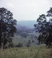 Cass Scenic Railroad / Whittaker Hill, West Virginia (8/22/1972)