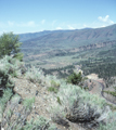 Gore Canyon, Colorado (6/11/1996)