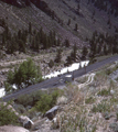 Denver & Rio Grande Western / Princeton Siding, Colorado (6/6/1996)