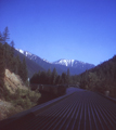 Marias Pass / Great Northern (6/15/1972)