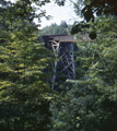 New York Central / Watkins Glen (Watkins Glen State Park), New York (8/17/1970)