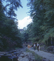 New York Central / Watkins Glen (Watkins Glen State Park), New York (8/17/1970)