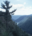 Grand Canyon of Pennsylvania, Pennsylvania (8/17/1970)