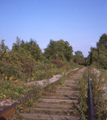 Charlotte / Rome, Watertown & Ogdensburg (New York Central) (9/7/1975)