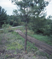 St. Johnsbury & Lamoille County / Vermont (6/3/1976)