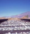 Lone Pine, California (9/24/1978)