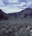 Union Pacific / Meadow Valley Wash, Nevada (5/1/1982)