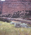 Union Pacific / Echo, Utah (8/17/1998)